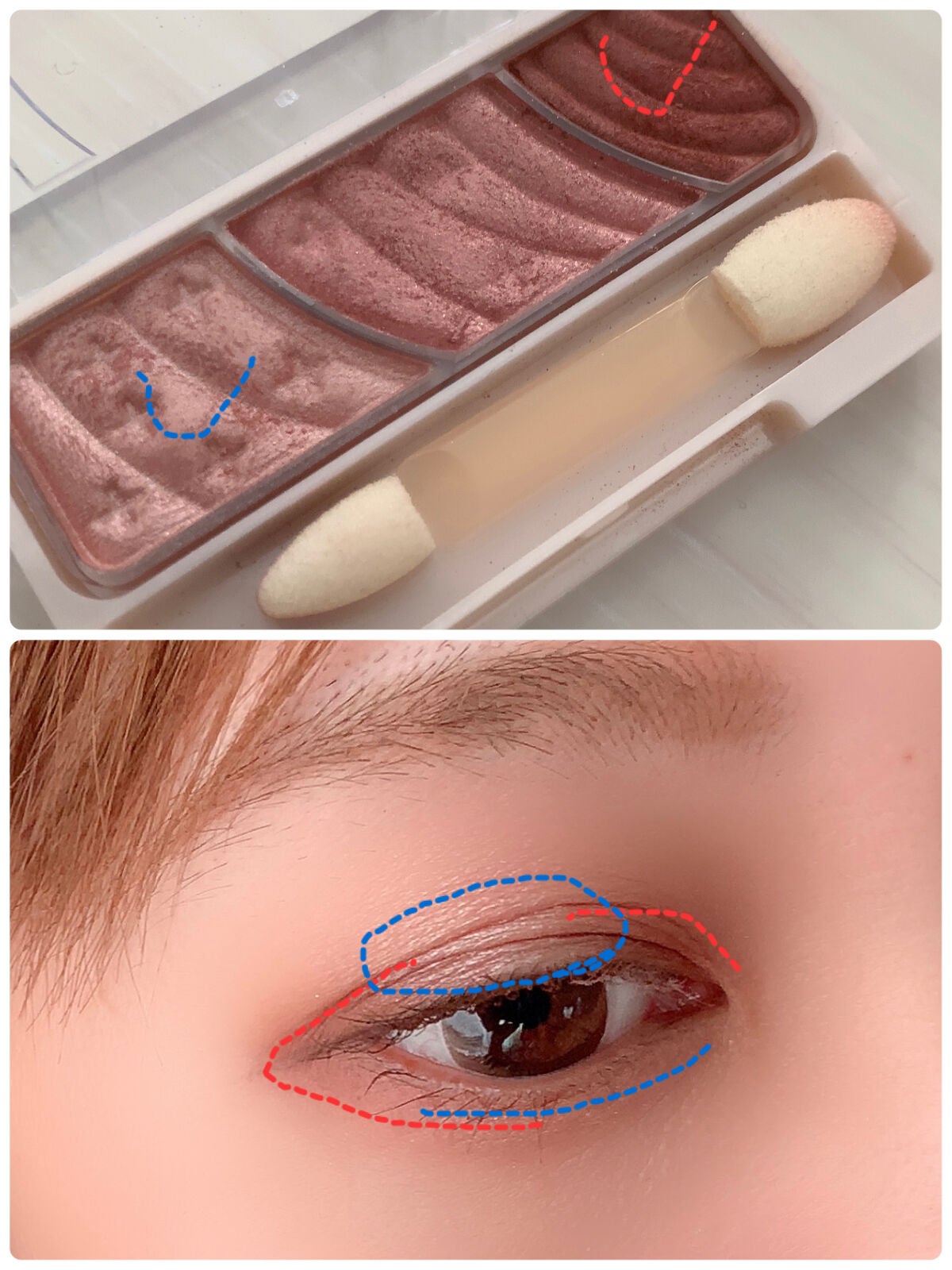 トーンアップアイシャドウ/CEZANNE/アイシャドウパレットを使ったクチコミ(5枚目)