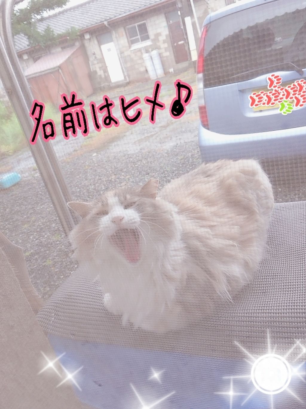 オリジナル ピュアスキンジェリー/ヴァセリン/ボディクリームを使ったクチコミ(4枚目)