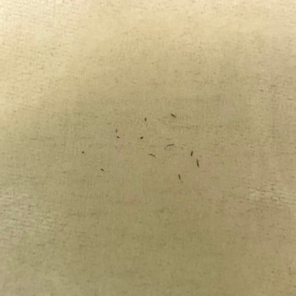 ホホバオイル/無印良品/ボディオイルを使ったクチコミ(2枚目)