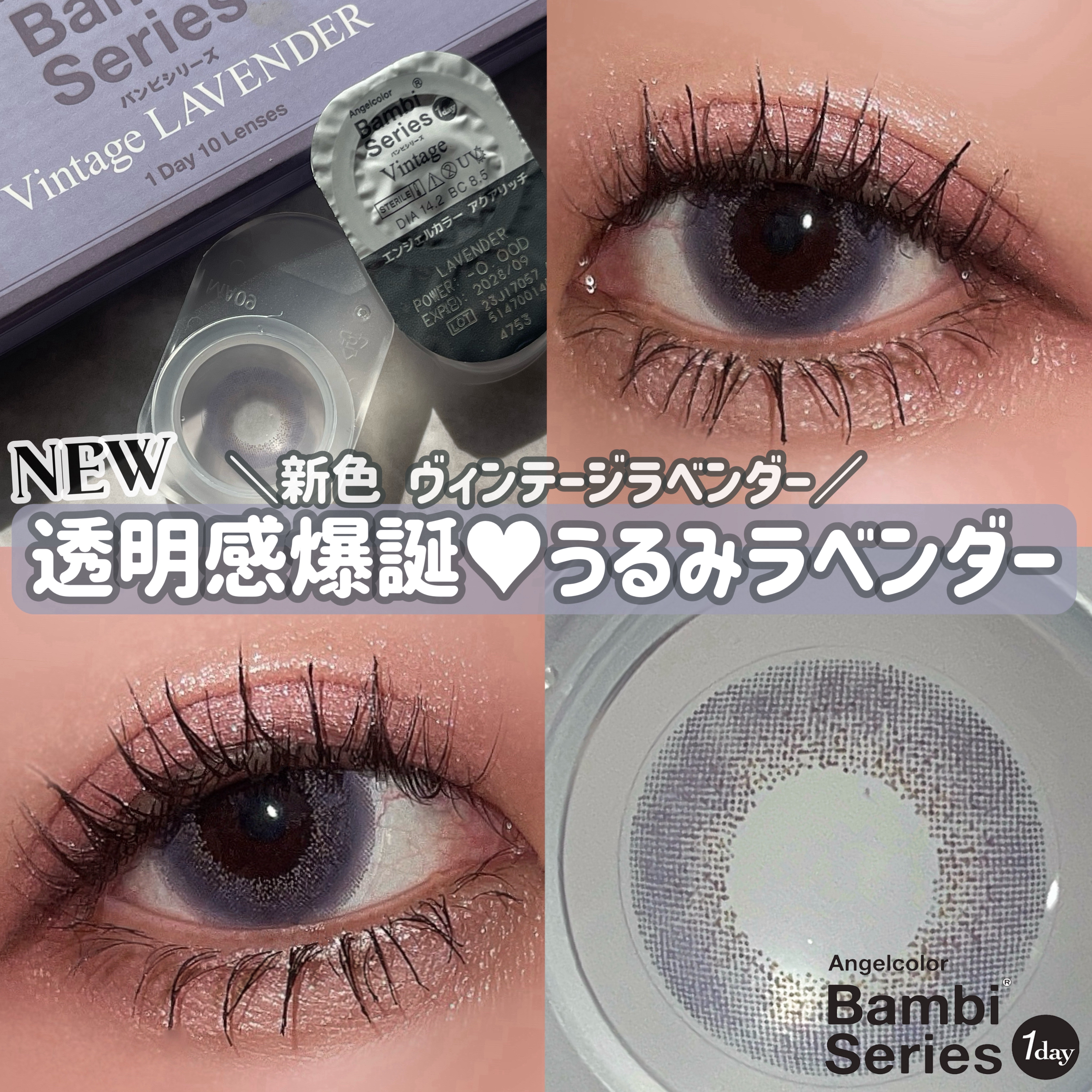 Angelcolor Bambi Series Vintage 1day ヴィンテージラベンダー/AngelColor/ワンデー（１DAY）カラコンを使ったクチコミ（1枚目）