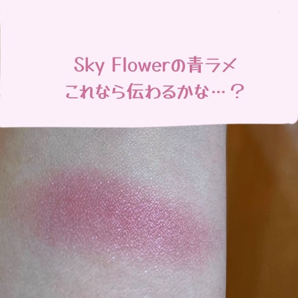 アディクション ザ ブラッシュ パール/ADDICTION/パウダーチークを使ったクチコミ(5枚目)