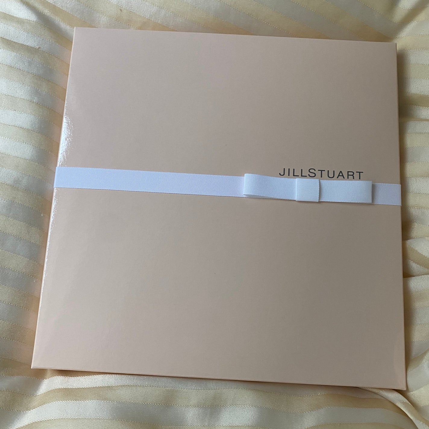 アクセントプレート 23cm /JILL STUART/その他を使ったクチコミ(2枚目)