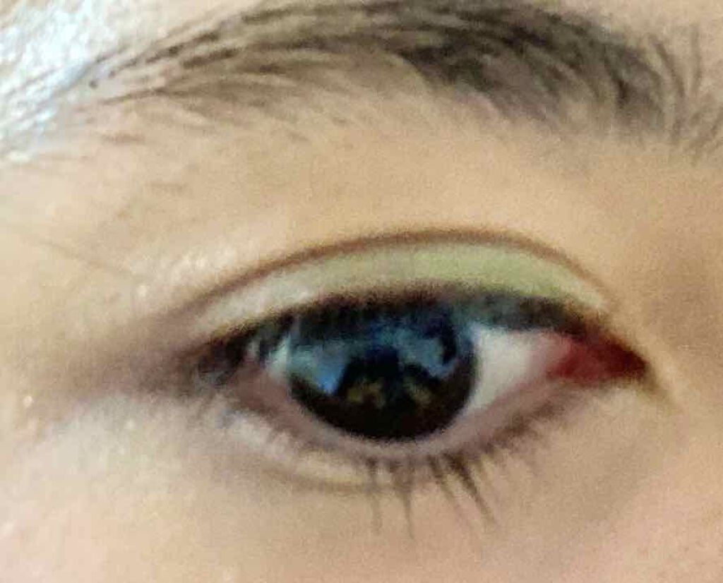 12色アイシャドウパレット/LOUJENE/アイシャドウパレットを使ったクチコミ(4枚目)