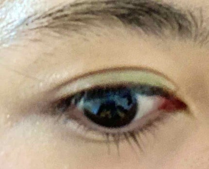 12色アイシャドウパレット/LOUJENE/アイシャドウパレットを使ったクチコミ(4枚目)