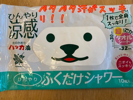 ひんやりふくだけシャワー 北見ハッカの香り 北見ハッカの香り2023(10枚入)/ときわ商会/ボディシートの画像