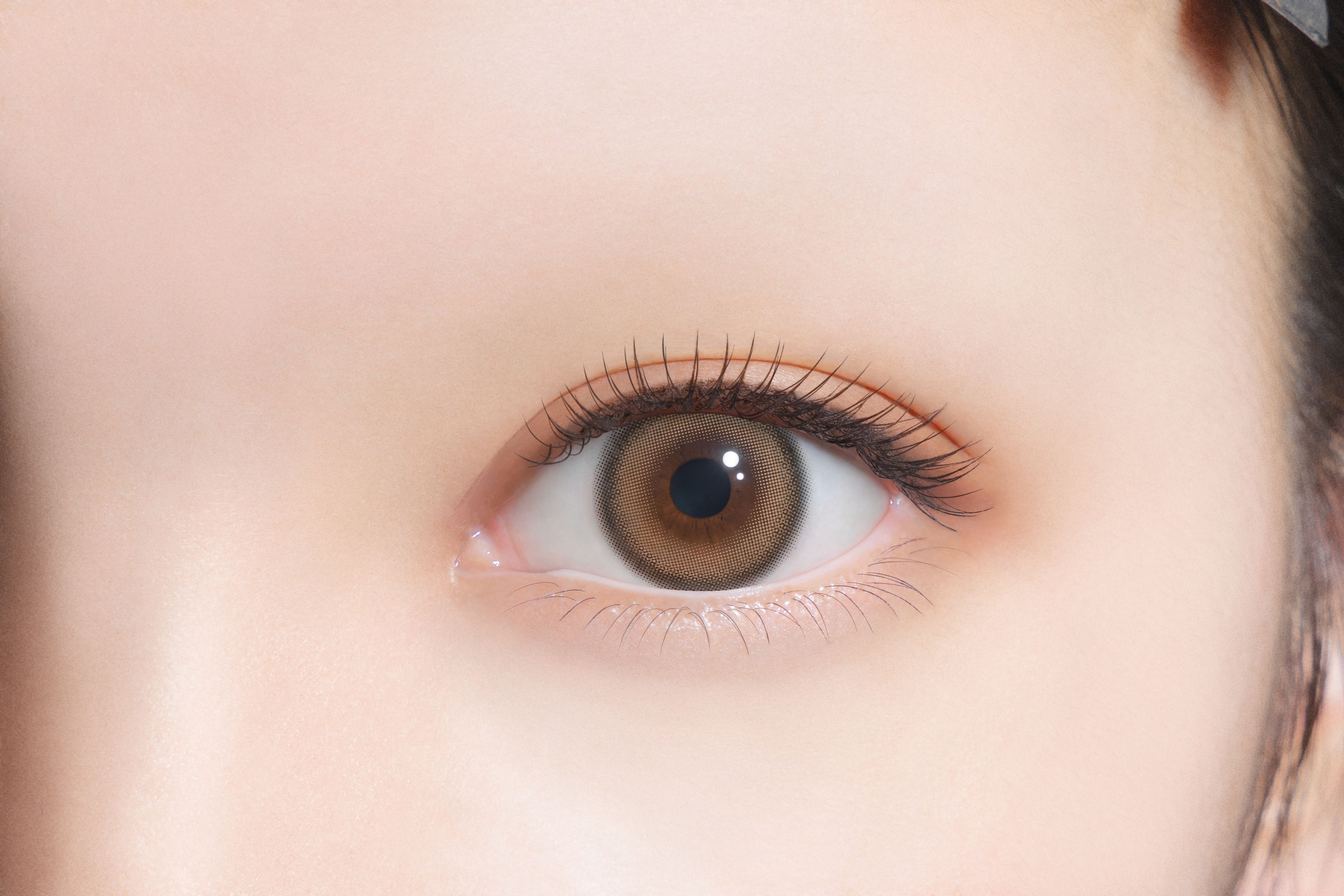 FALOOM 1DAY ホイップブラウン