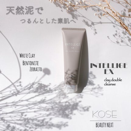 クレイ W クレンズ/アンテリージェEX/クレンジングクリームを使ったクチコミ(1枚目)