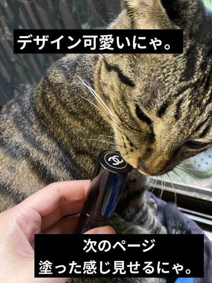 ボーム エサンシエル/CHANEL/スティックハイライトを使ったクチコミ(2枚目)