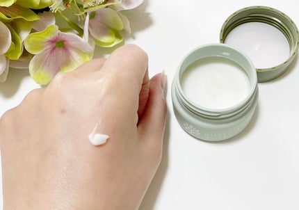 プロテクティブモイストクリーム/BIOFEAT. /フェイスクリームを使ったクチコミ(4枚目)