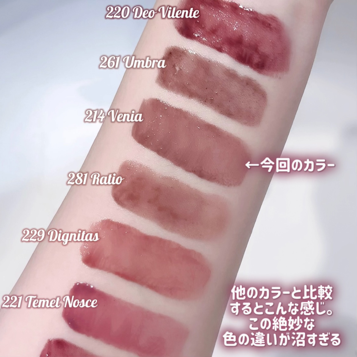 ブラーグロイリップティント 214 ヴェニア/Dinto/リップティントを使ったクチコミ（3枚目）