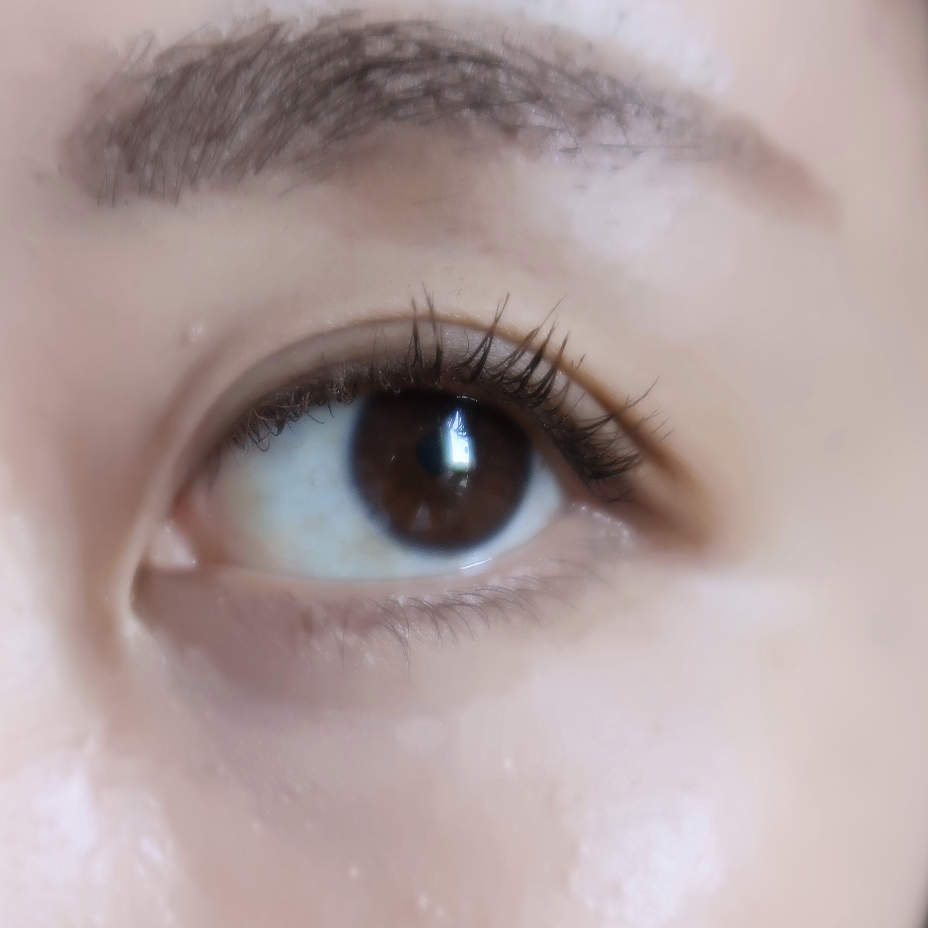 パーフェクトマルチアイズ/キャンメイク/アイシャドウパレットを使ったクチコミ（3枚目）