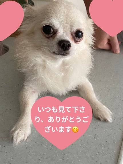 リップスリーピングマスク/LANEIGE/リップバームを使ったクチコミ(4枚目)