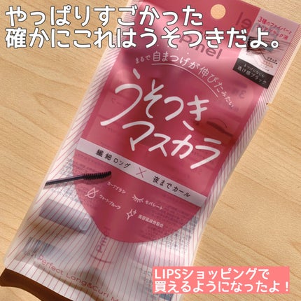 ピメル うそつきマスカラ/pdc/マスカラを使ったクチコミ(1枚目)