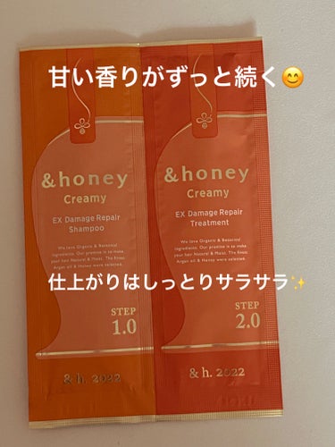 Creamy EXダメージリペアシャンプー1.0/ヘアトリートメント2.0 お試し（シャンプー10ml＋トリートメント10g）/&honey/シャンプー・コンディショナーを使ったクチコミ（1枚目）