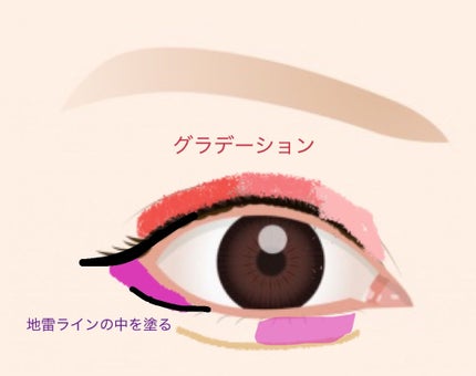 THE アイパレR/b idol/アイシャドウパレットを使ったクチコミ(2枚目)