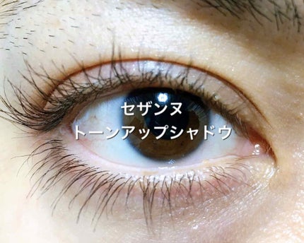 トーンアップアイシャドウ/CEZANNE/アイシャドウパレットを使ったクチコミ(2枚目)