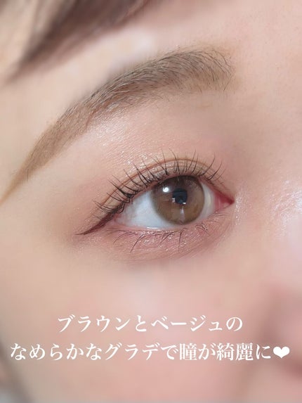 ダリアブラウンマンスリー (DAHLIA BROWN monthly)/OLOLA/1ヶ月(1MONTH)カラコンを使ったクチコミ(6枚目)