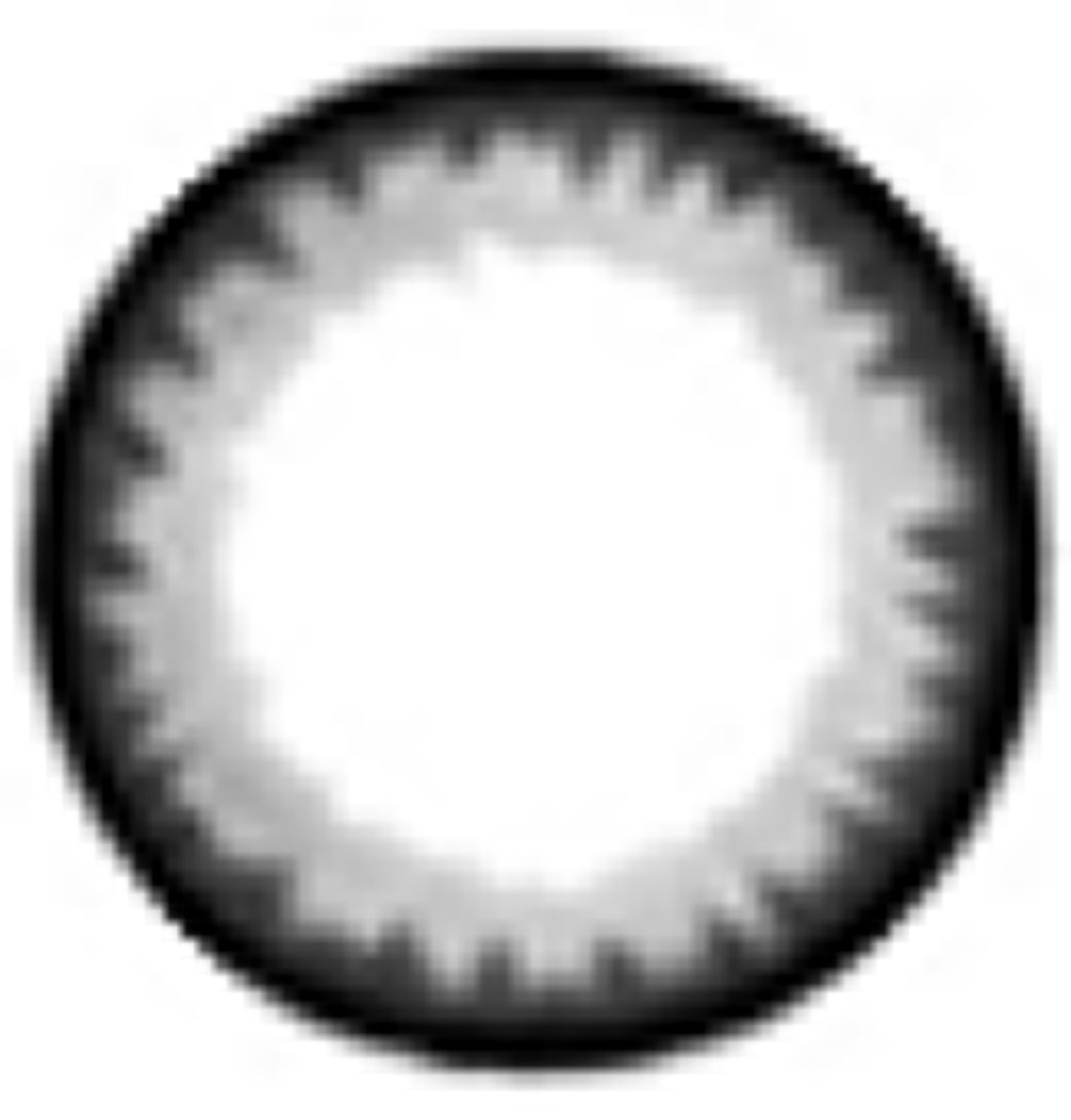 エレガントブラック