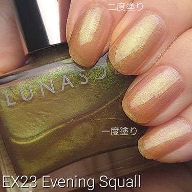 ルナソル ネイルポリッシュ EX24 Burnt Sienna（限定）/LUNASOL/マニキュアを使ったクチコミ（2枚目）