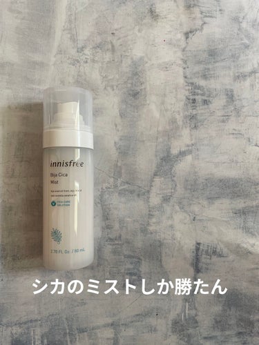 innisfree ビジャ シカミストのクチコミ「innisfreeビジャ シカミスト
ミスト化粧水はもう6本くらい常備してますが、揺らいだ時に.....」（1枚目）