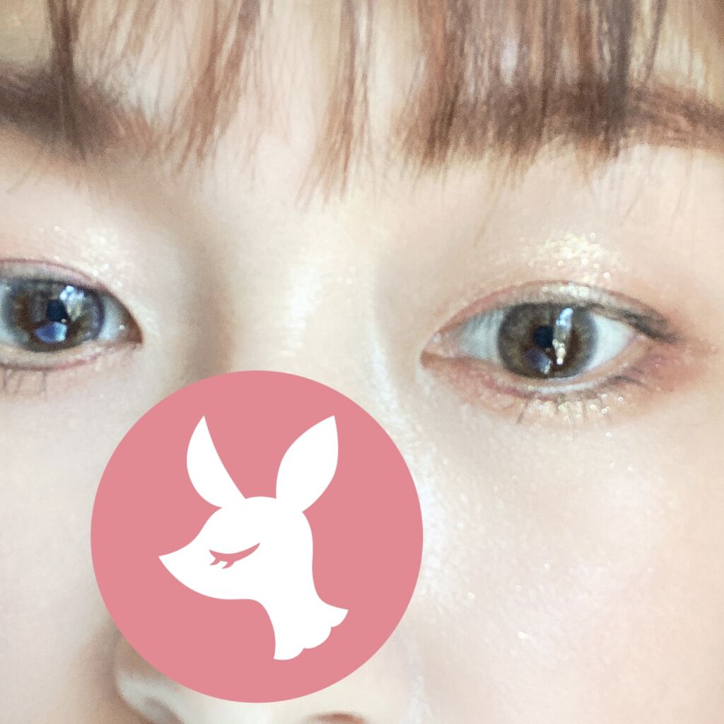 ロイヤルヴィンテージ アイズ/リンメル ロンドン/アイシャドウパレットを使ったクチコミ（3枚目）