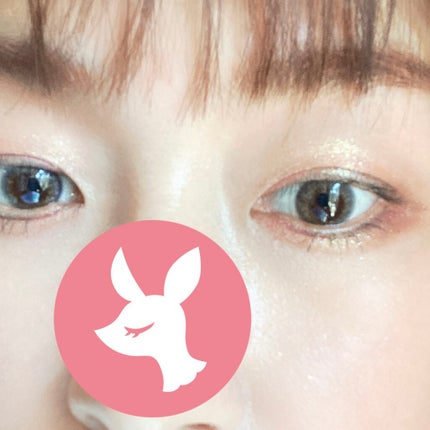 ラブ・ライナー リキッドアイライナー グリッターコレクション2 グロウブラウン/ラブ・ライナー/リキッドアイライナーを使ったクチコミ(3枚目)