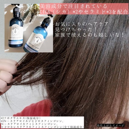 薬用スカルプケアシャンプー/トリートメント モイスト/WELLP/市販シャンプーを使ったクチコミ(7枚目)