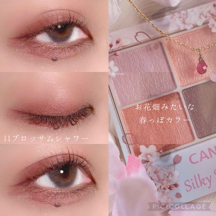 シルキースフレアイズ/キャンメイク/アイシャドウパレットを使ったクチコミ(8枚目)
