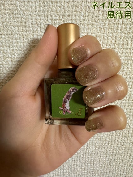 ネイルエス| nail S(ネイルエス) の口コミ - nail S sakura ネイルエス| nail S(ネイルエス) の口コミ - nail S sakura