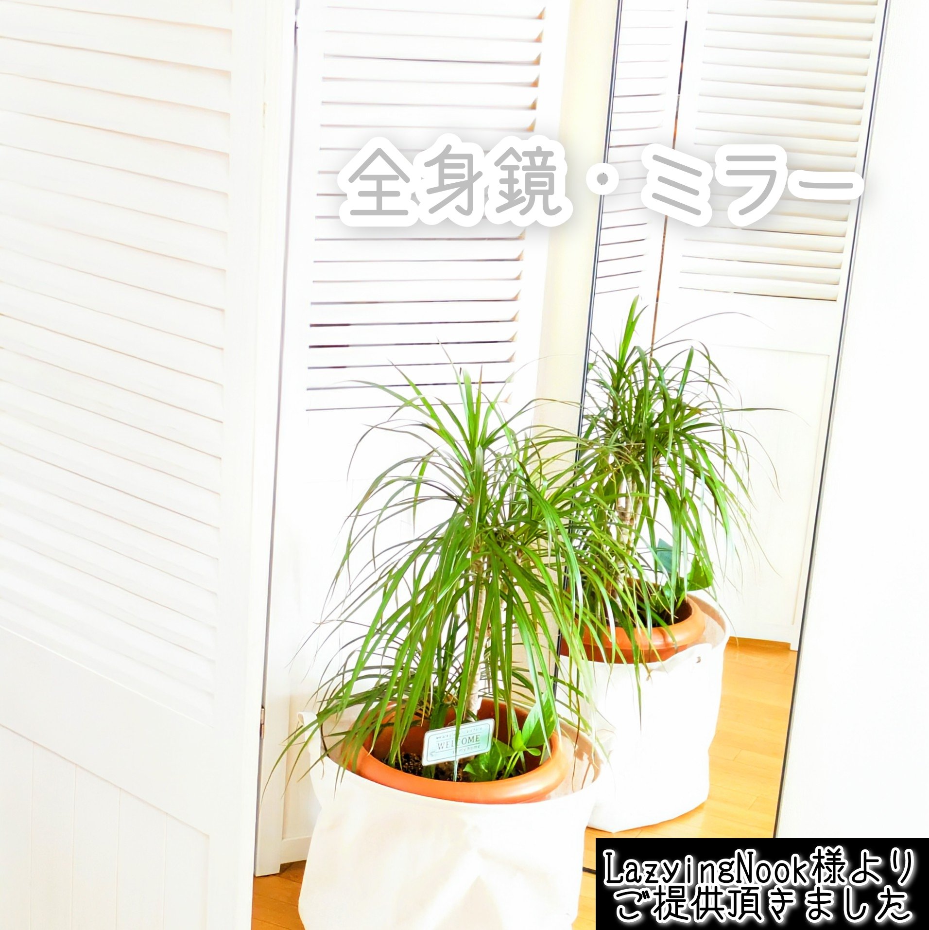 姿見鏡/Lazyingnook/その他を使ったクチコミ（1枚目）