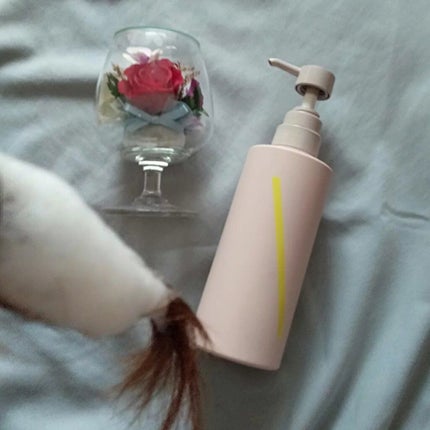 SQ アンチポリューションシャンプー/ShinkoQ/市販シャンプーを使ったクチコミ(2枚目)