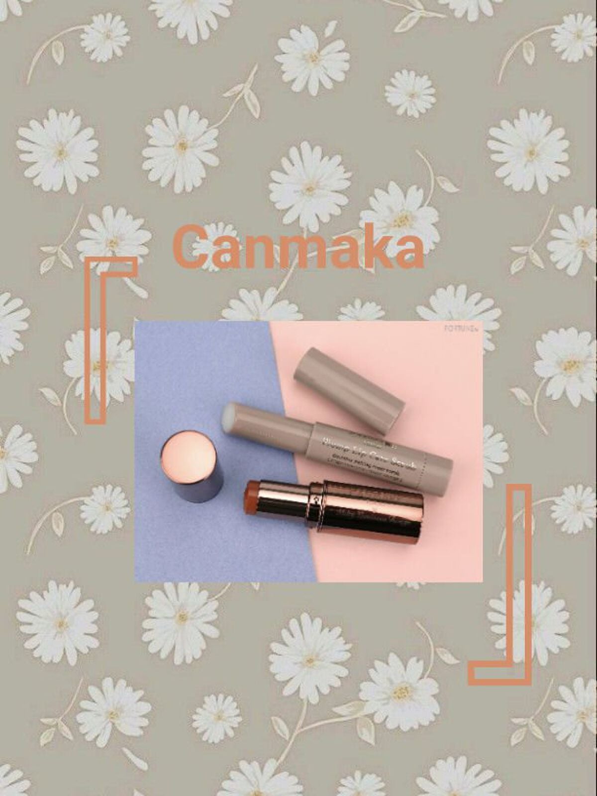 ジューシーリップティント/キャンメイク/口紅を使ったクチコミ(1枚目)