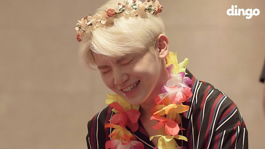 パーフェクトホイップn/SENKA（専科）/洗顔フォームを使ったクチコミ（1枚目）