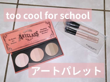 バイロダン アートパレットⅡ/too cool for school/メイクアップキットを使ったクチコミ（1枚目）