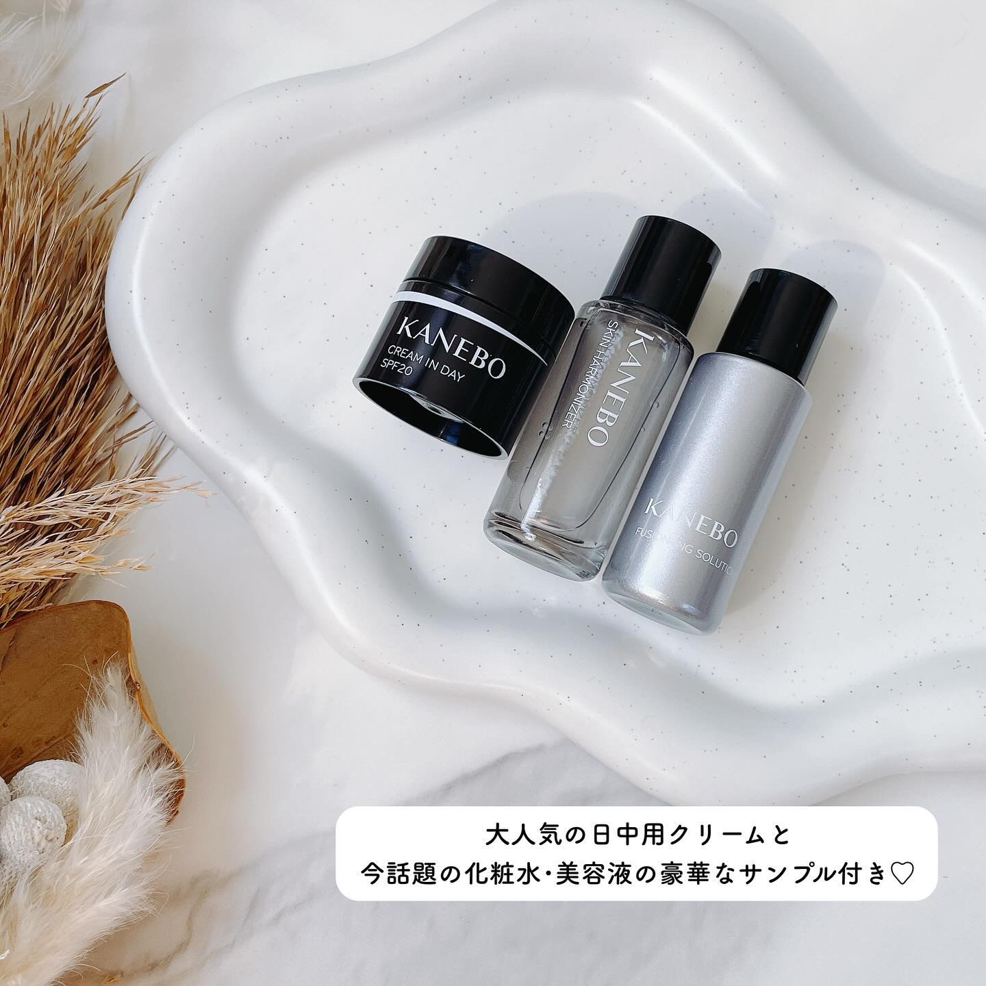 クリーム　イン　デイ/KANEBO/フェイスクリームを使ったクチコミ（3枚目）