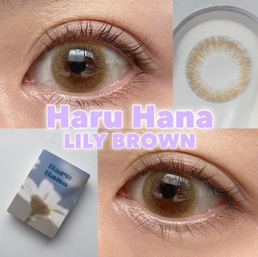 お花が咲いたような瞳だよ🌼

☑︎ otr
Haru Hana
LILY BROWN

1Monts  1箱2枚入り
DIA : 14.3mm
着色直径 : 13.5mm
BC : 8.8mm
含水率 