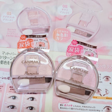 プランぷくコーデアイズ/キャンメイク/パウダーアイシャドウを使ったクチコミ(1枚目)