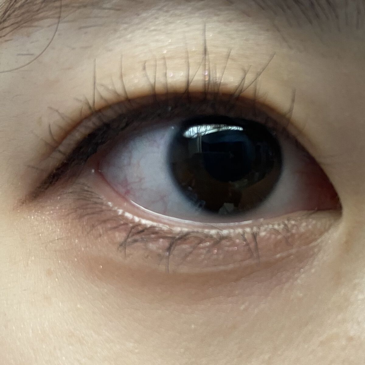 ハンオールフィックスマスカラ/rom&nd/マスカラを使ったクチコミ（1枚目）