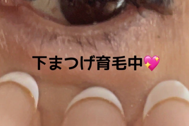 スカルプD アイラッシュセラム プレミアム/アンファー(スカルプD)/まつげ美容液を使ったクチコミ(3枚目)