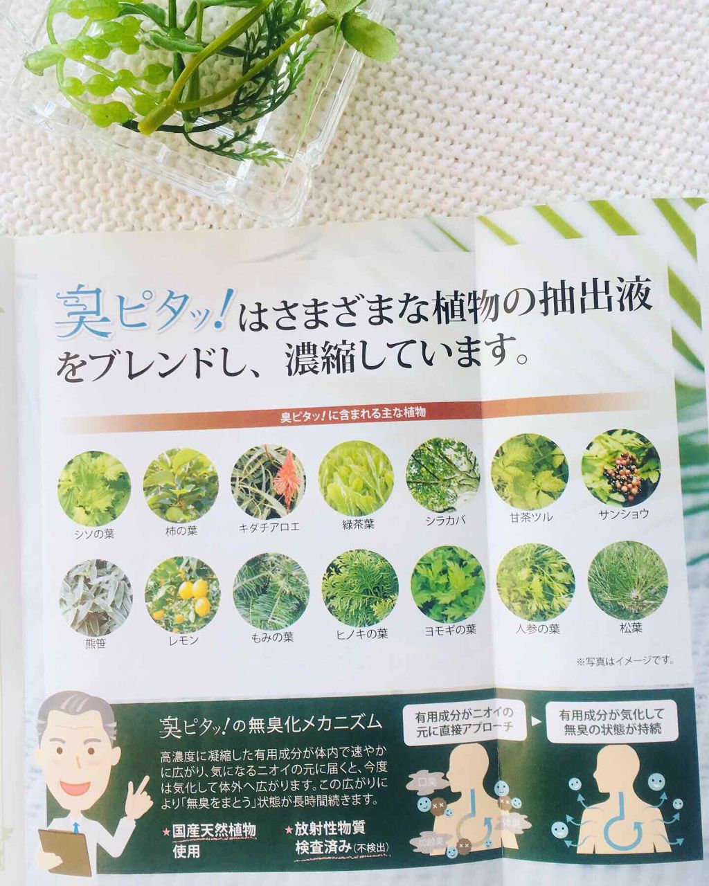 臭ピタッ!/RERUJU(リルジュ)/健康サプリメントを使ったクチコミ(3枚目)