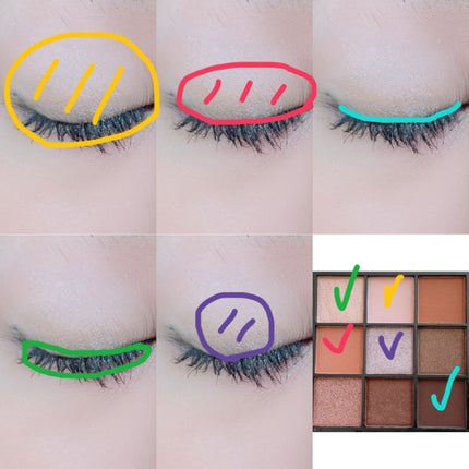 ブルーミングアイカラーパレット (TOKYO GIRLS COLLECTION)/U R GLAM/アイシャドウパレットを使ったクチコミ(2枚目)