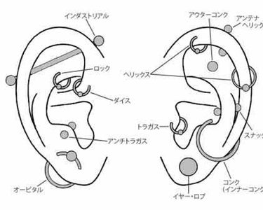 みる on LIPS 「今まで私が開けてきたピアスの位置についてご紹介したいと思います..」（2枚目）