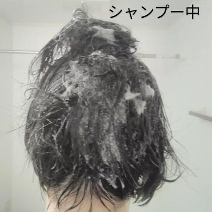 ボタニカルシャンプー /トリートメント トリートメント/エルゴクリーン・ティー /シャンプー・コンディショナーの画像