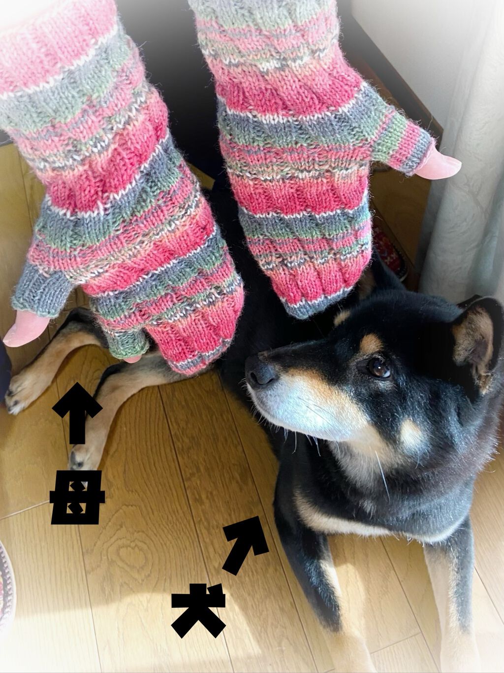 シア フットクリーム/L'OCCITANE/レッグ・フットケアを使ったクチコミ（3枚目）