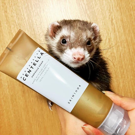 センテラ アンプルフォーム/SKIN1004/洗顔フォームを使ったクチコミ(2枚目)