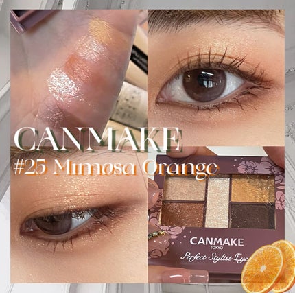 パーフェクトスタイリストアイズ/キャンメイク/アイシャドウパレットを使ったクチコミ(1枚目)