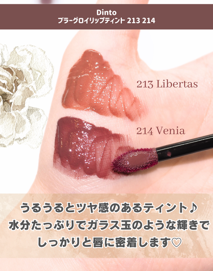 ブラーフィニッシュ雲楚クッション/Dinto/クッションファンデーションを使ったクチコミ(3枚目)