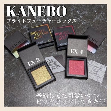 ブライトフューチャーボックス  EX4 Pursue your passion/KANEBO/シングルアイシャドウを使ったクチコミ（1枚目）
