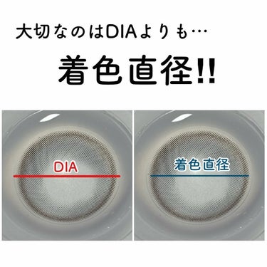 TOPARDS 1day/TOPARDS/ワンデー（１DAY）カラコンを使ったクチコミ（2枚目）