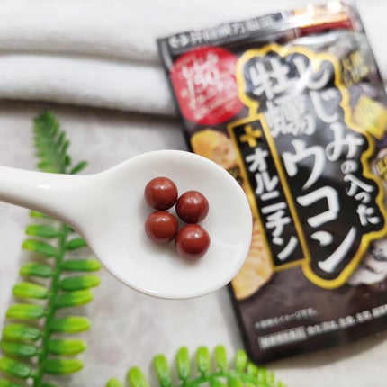 しじみの入った牡蠣ウコン 肝臓エキス/井藤漢方製薬/健康サプリメントを使ったクチコミ(3枚目)